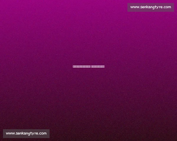 火箭与公牛激战三月十一日 看两队谁能笑到最后